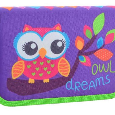 531658  Пенал твердий одинарний  Owl, 20.5*13*3.2
